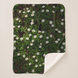 White spring flowers in woodland sherpa deken