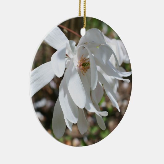 White Spring Magnolia Blossom Flower Ornament (Rechts)