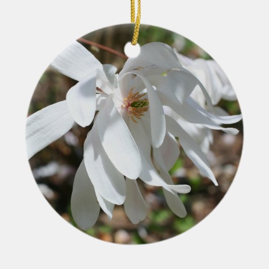 White Spring Magnolia Blossom Flower Ornament (Voorkant)