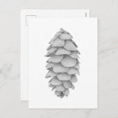 White Spruce Cone vakantie briefkaart (Voorkant / Achterkant)