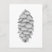 White Spruce Cone vakantie briefkaart (Voorkant)