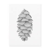 White Spruce Cone vakantie briefkaart