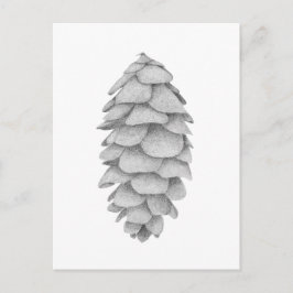 White Spruce Cone vakantie briefkaart