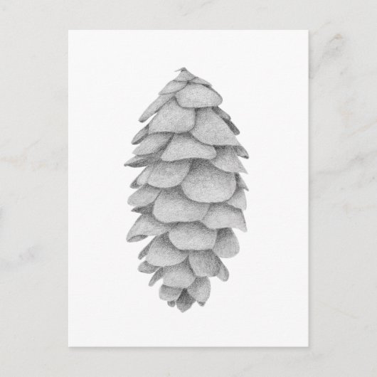 White Spruce Cone vakantie briefkaart (Voorkant)