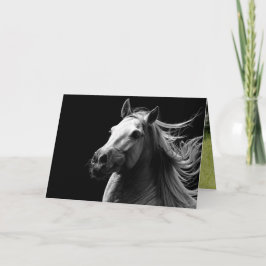 White Stallion's Pride - Paard Wenskaart Kaart