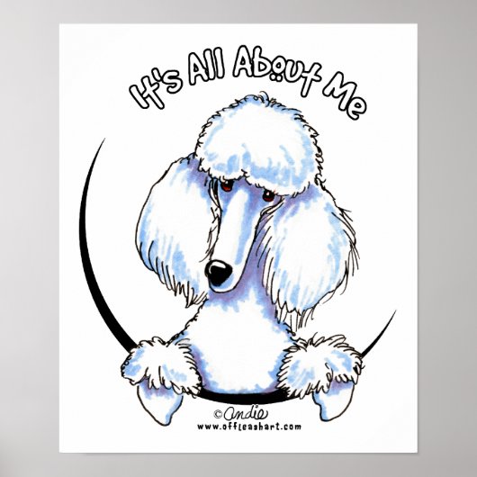 White Standard Poodle IAAM Poster (Voorkant)