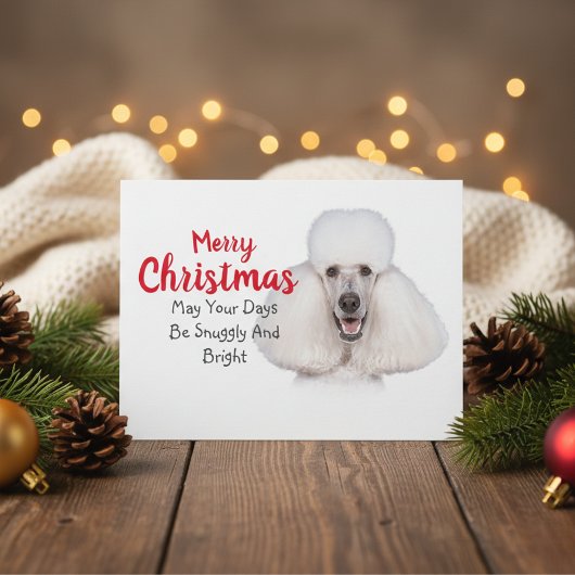 White Standard Poodle-kerstkaart Feestdagenkaart