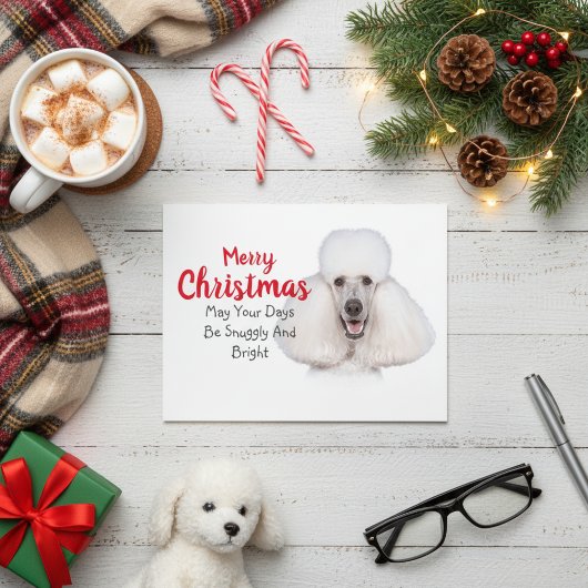 White Standard Poodle-kerstkaart Feestdagenkaart