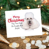 White Standard Poodle-kerstkaart Feestdagenkaart