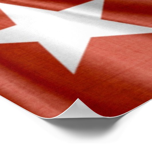 White Star Line Flag Print (Hoek)