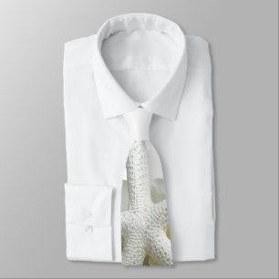 White Starfish Hydrangea Flower Groom's Stropdas