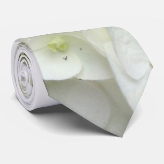 White Starfish Hydrangea Flower Groom's Stropdas (Opgerold)