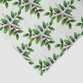 White Starfish in Holly Bleek Green Tissuepapier (Detail)