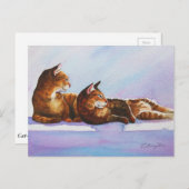 White Steps Tabbies Briefkaart (Voorkant / Achterkant)