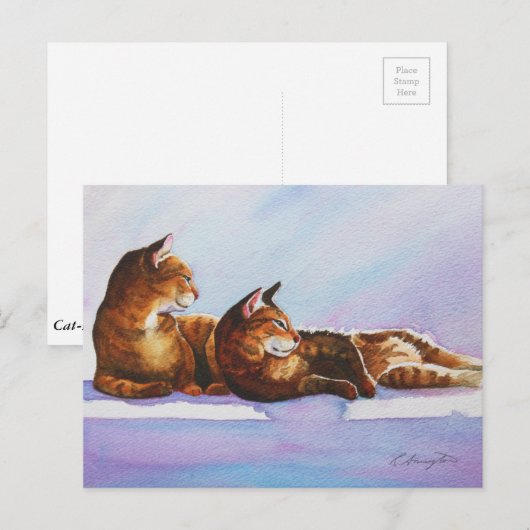 White Steps Tabbies Briefkaart (Voorkant / Achterkant)