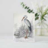 White Stork  Bird Illustration Briefkaart (Staand voorkant)