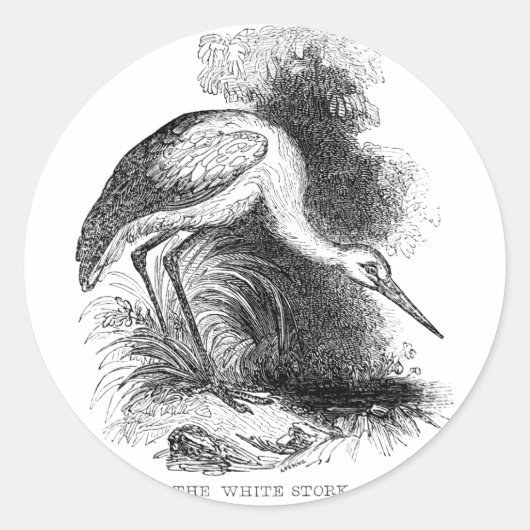 White Stork  Bird Wildlife Tekening Ronde Sticker (Voorkant)