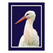 White Stork Fotobehang Foto Afdruk (Voorkant)