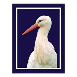 White Stork Fotobehang Foto Afdruk
