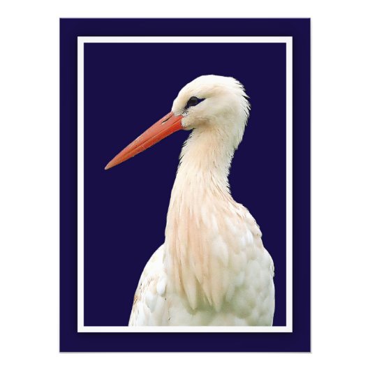 White Stork Fotobehang Foto Afdruk (Voorkant)