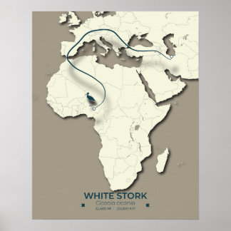 White Stork Migration Map – Minimalistische  BIR Poster