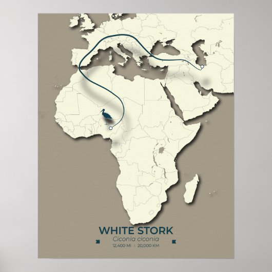 White Stork Migration Map – Minimalistische BIR Poster (Voorkant)