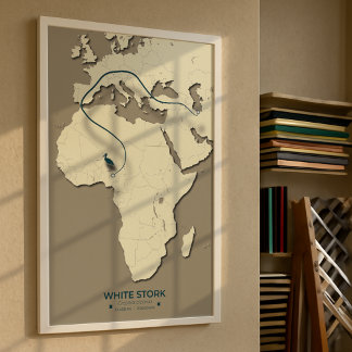White Stork Migration Map – Minimalistische Vintag Poster