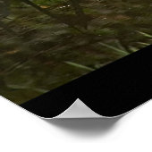 White Stork Poster (Hoek)