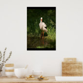 White Stork Poster (Keuken)