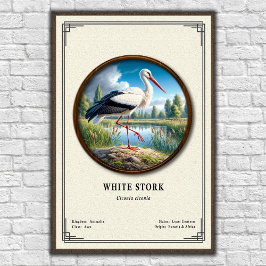 White Stork Zoology Series Poster