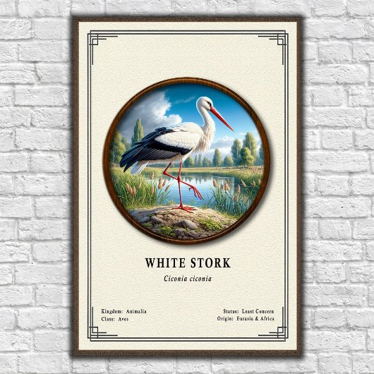 White Stork Zoology Series Poster