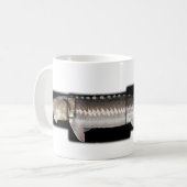 White Sturgeon - Acipenser transmontanus Koffiemok (Voorkant links)