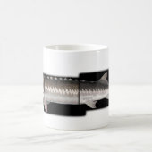 White Sturgeon - Acipenser transmontanus Koffiemok (Center)