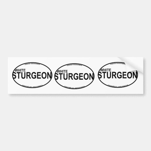 White Sturgeon Euro Stickers (Voorkant)