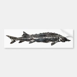 White Sturgeon Gyotaku-40-item Bumpersticker