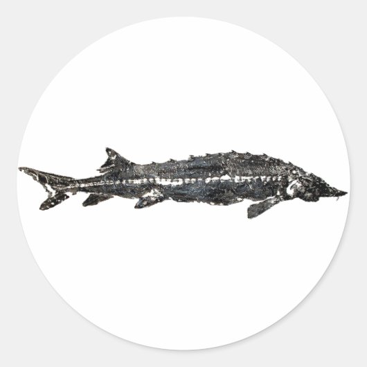 White Sturgeon Gyotaku-40-item Ronde Sticker (Voorkant)