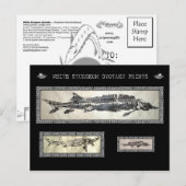 White Sturgeon Gyotaku Collage Card Briefkaart (Voorkant / Achterkant)