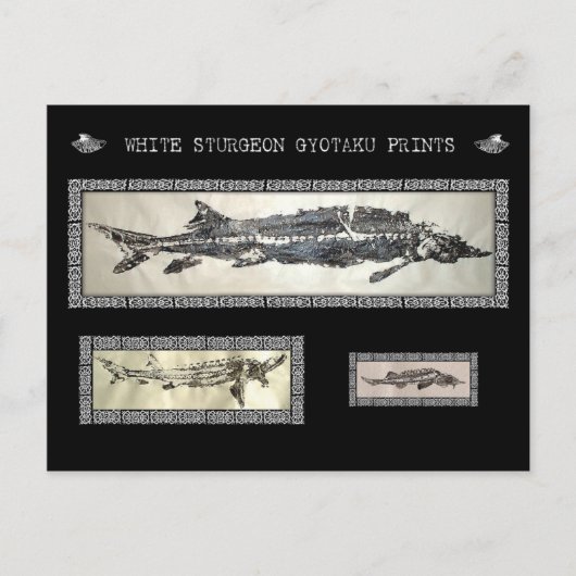 White Sturgeon Gyotaku Collage Card Briefkaart (Voorkant)