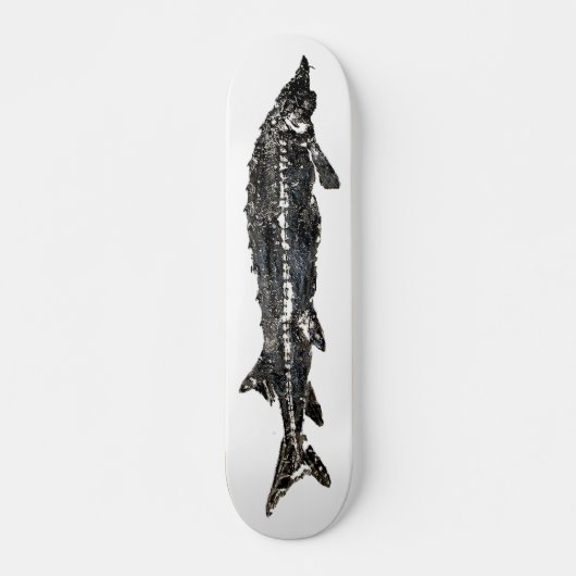 White Sturgeon Gyotaku SkateBoard (Voorkant)