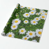 White Summer Daisy Garden Cadeaupapier (Uitgerold)