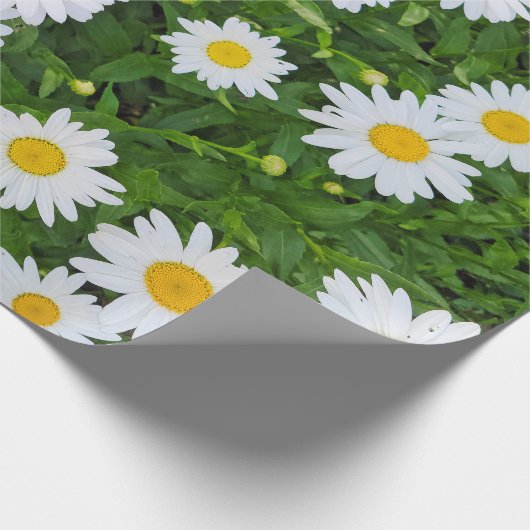 White Summer Daisy Garden Cadeaupapier (Hoek)