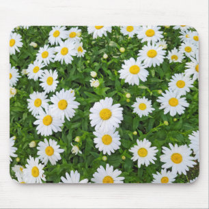White Summer Daisy Garden Muismat