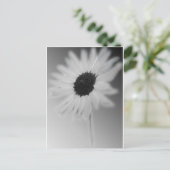 WHITE SUNFLOWER BRIEFKAART (Staand voorkant)