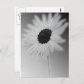 WHITE SUNFLOWER BRIEFKAART (Voorkant / Achterkant)