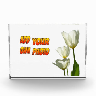 White Sunny Tulips Photo Block Fotoblokken