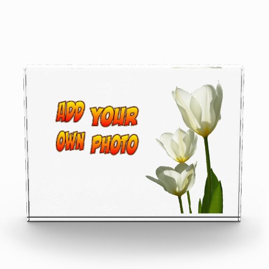 White Sunny Tulips Photo Block Fotoblokken (Voorkant)