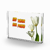 White Sunny Tulips Photo Block Fotoblokken (Rechts)