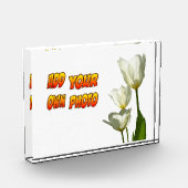 White Sunny Tulips Photo Block Fotoblokken (Links)