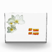 White Sunny Tulp Flowers Cust. Fotoblok (Voorkant)