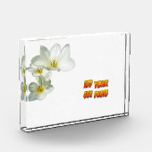 White Sunny Tulp Flowers Cust. Fotoblok (Links)